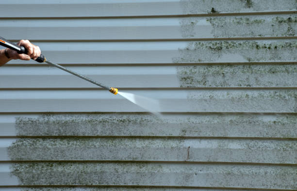 Best Affordable Power Washing  in Palmer, AK
