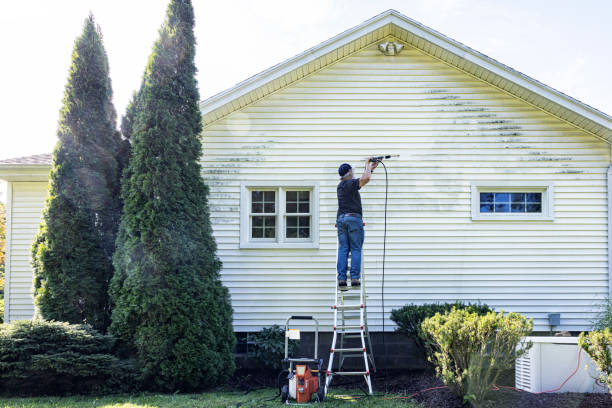 Best Concrete Pressure Washing  in Palmer, AK