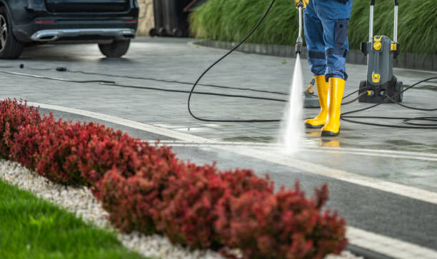Best Commercial Building Pressure Washing  in Palmer, AK
