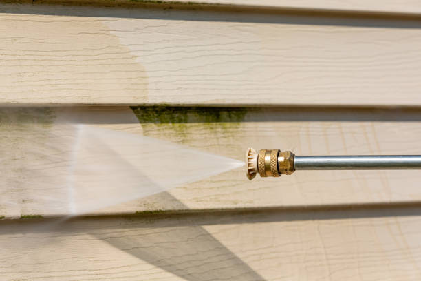 Best Pressure Washing Near Me  in Palmer, AK