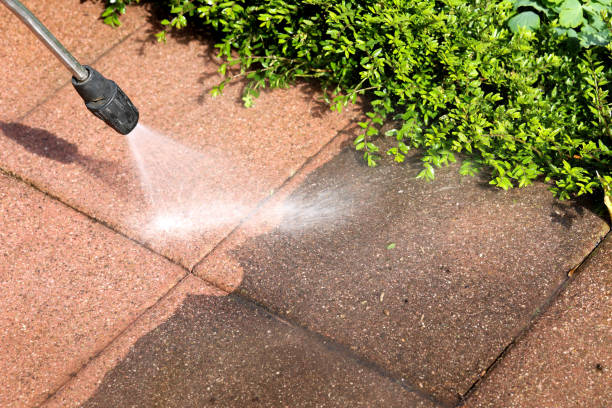 Best Affordable Pressure Washing  in Palmer, AK